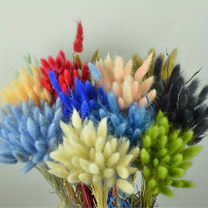 

50pcs Dried Rabbit Tail Grass Flowers Artificial Plant Wedding Party