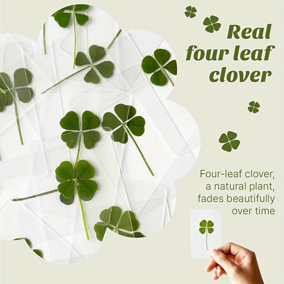 

1pc Real Clover Greeting Card, Diy Handmade Material, Clover, Ideal For Office Decor Or Gift, Floral Pattern, Matte , Office Supplies, Stationery, Card, Postcard