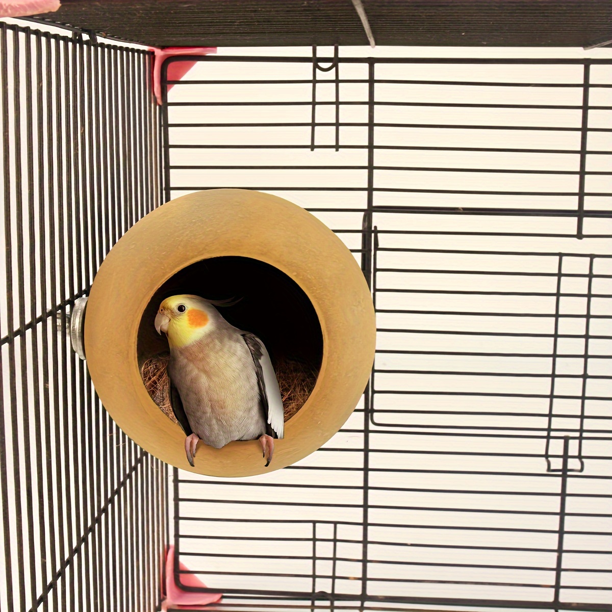 Nid D'oiseau Perroquet Perruche Cage En Coquille De Noix De Coco Naturelle  Pour Animal Domestique Que Perroquet, Perruche, Canari, Pinson, Pigeon, Ham