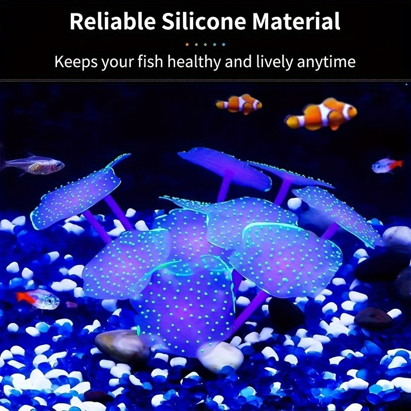 

-the- - Safe & Decor, For Landscaping