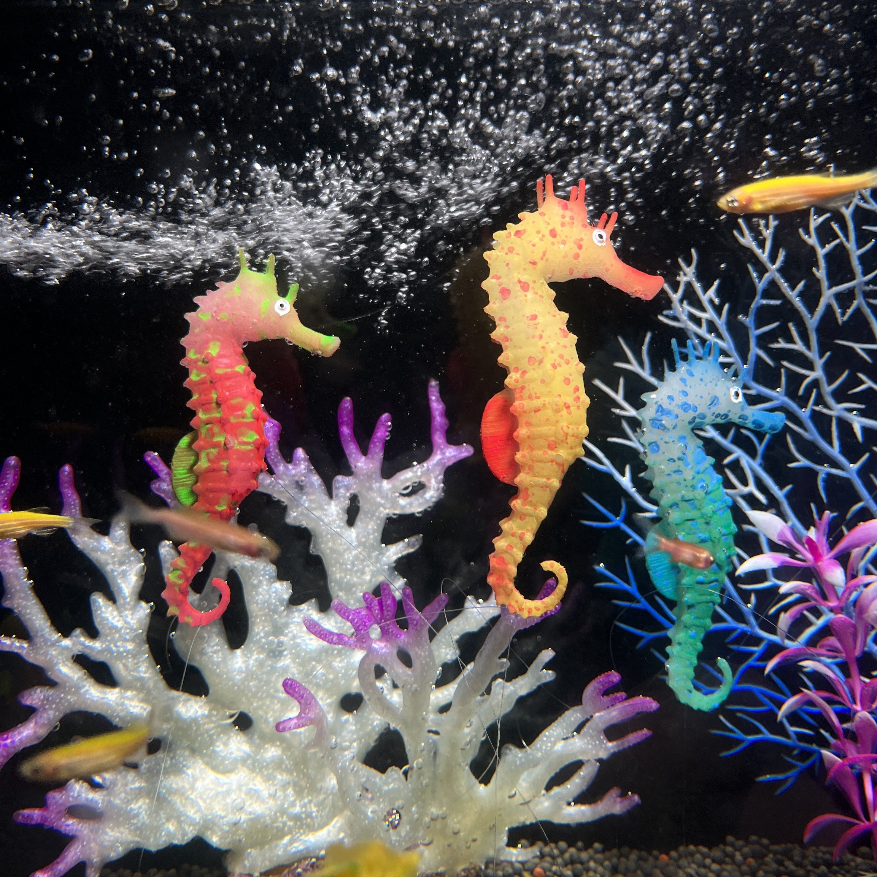 

3pcs Glow In The Dark Seahorses, Tpu Simulated Decor For Fish Aquariums - Fluorescent Silicone Seahorse Landscape Decoration For Fish Tank