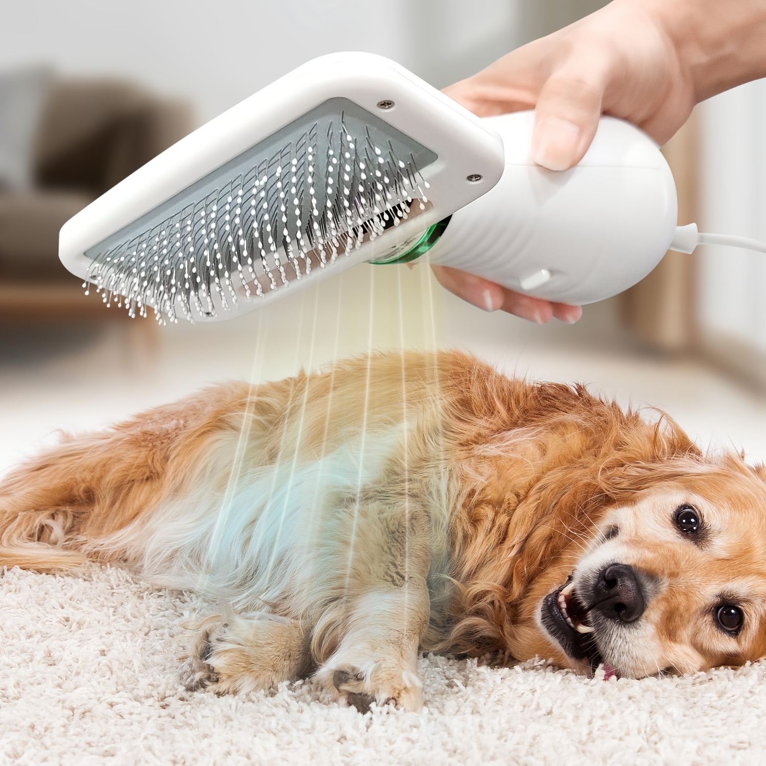 LIVEKEY 2-in-1 Pet Grooming Dryer with Adjustable Temperature And Slicker Brush for Dogs And Cats