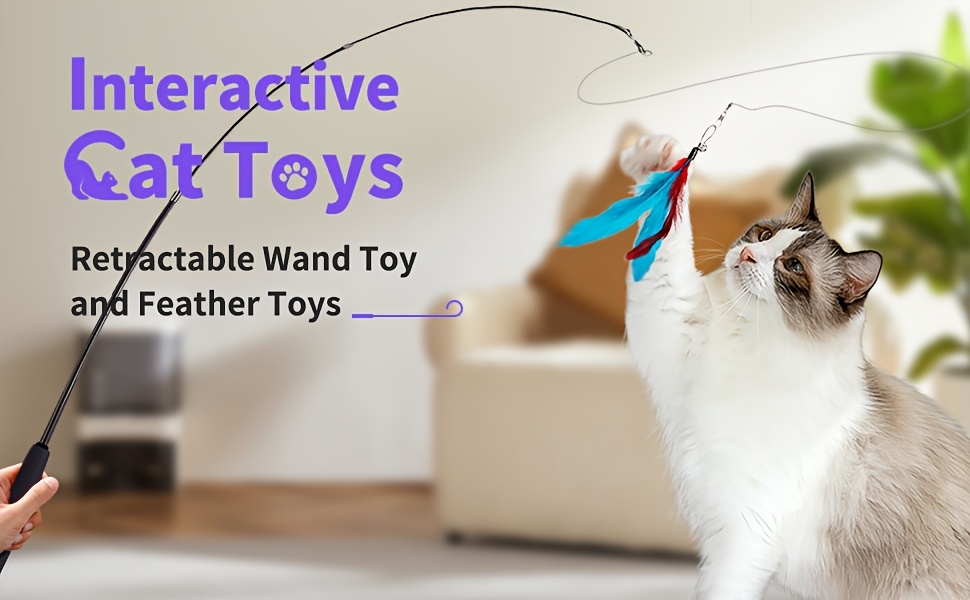 interactive cat toys including a retractable wand and assorted feather refills designed to keep indoor cats entertained and active without battery Product details 0