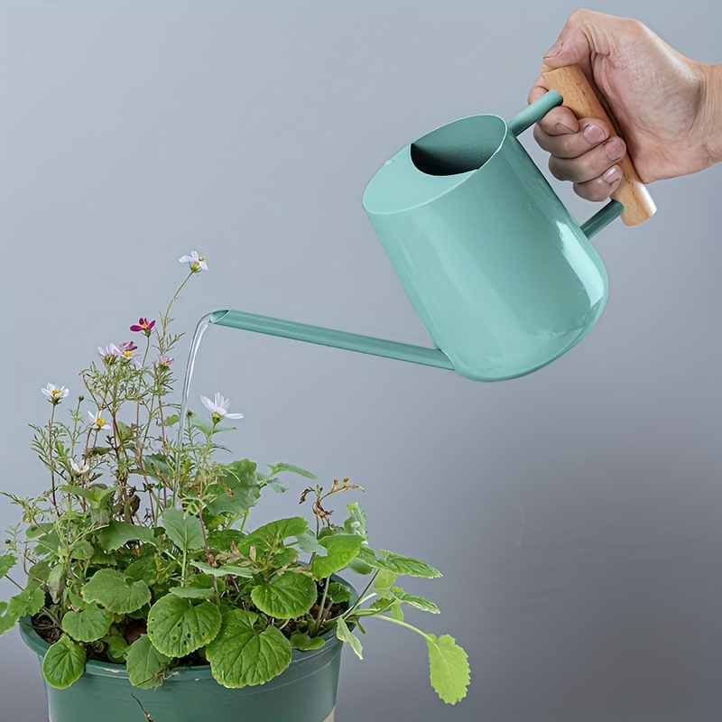 Bewsserungsgiekanne fr Zimmerpflanzen, 1000 ml (35 OZ) Kompakte  Giekanne mit verlngertem Ausguss, Edelstahl-Giekanne fr die Bewsserung  von Hauspflanzen und dekorativen Bonsai-Blumen (Blau)
