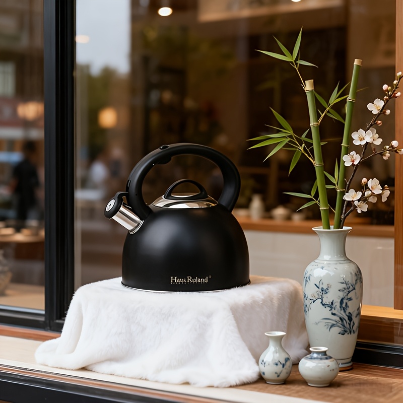 3L Stainless Steel Sound-Producing Kettle for Induction & Gas Stoves
