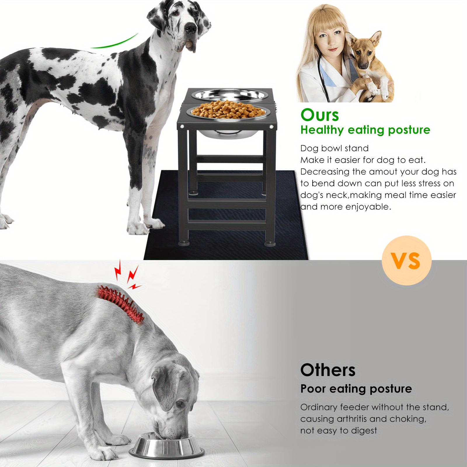 9 ceramic dog bowls with lip White Ceramic Dog Bowl  dexypaws