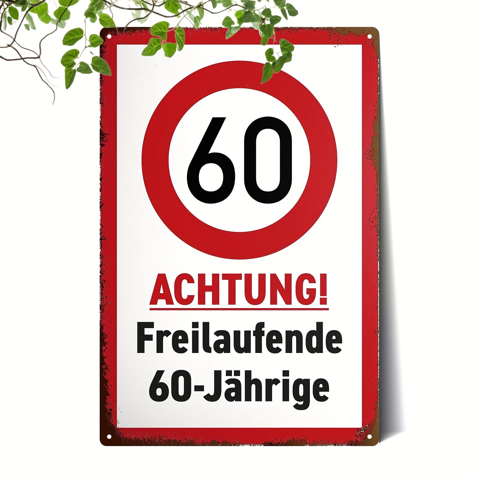 TEMU 2D Flach, 1 Stück Metallbild Deutschland Laufen 60. Jubiläum Geburtstagsdekoration Geschenkideen Geburtstagskarte Partydekoration, Dekorativ für