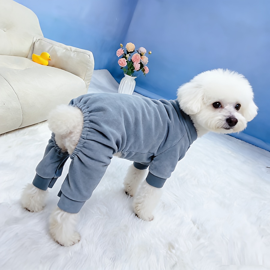 TEMU 초극세사 애견 강아지 홈웨어