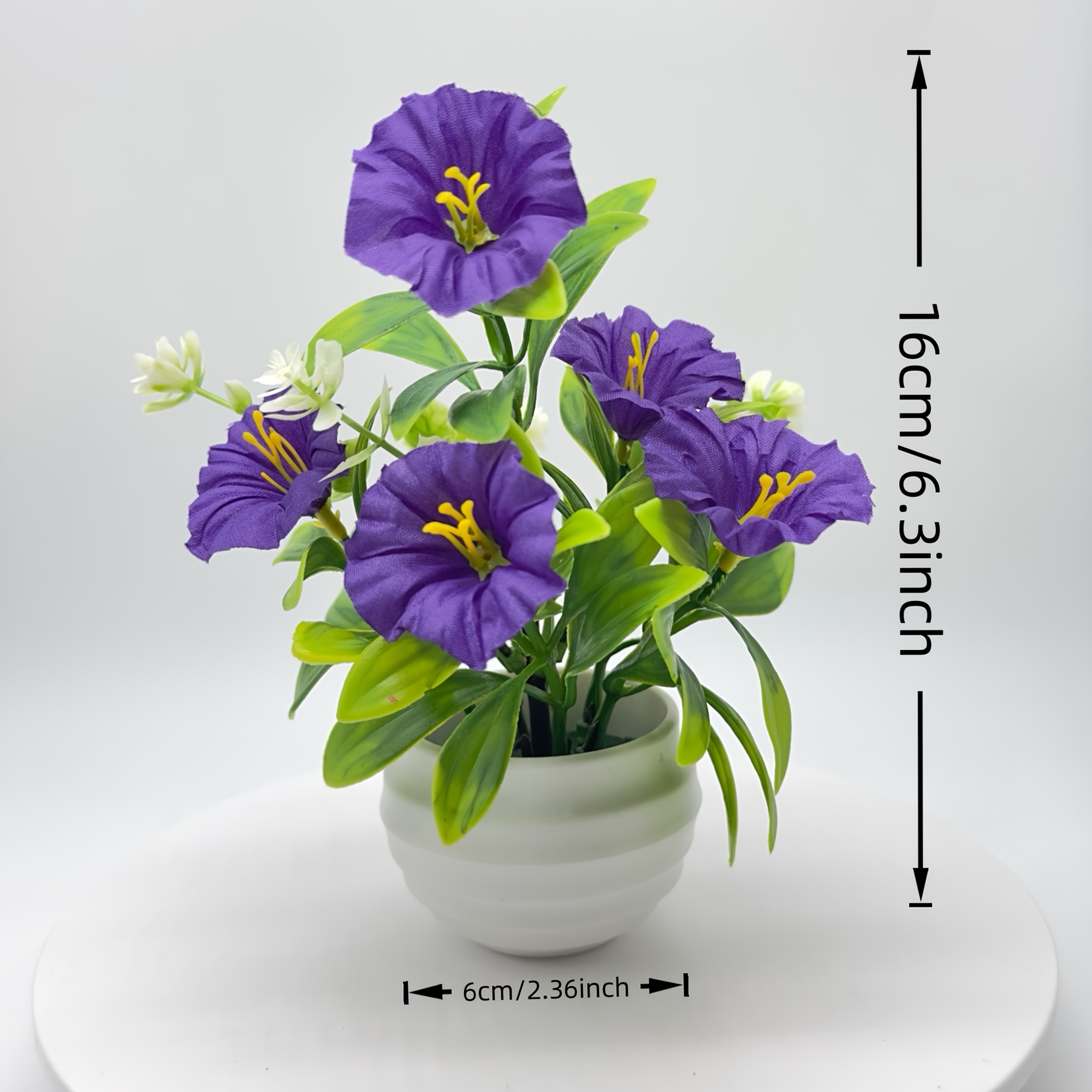 1/6 Set Morning Glory bloemen met pot