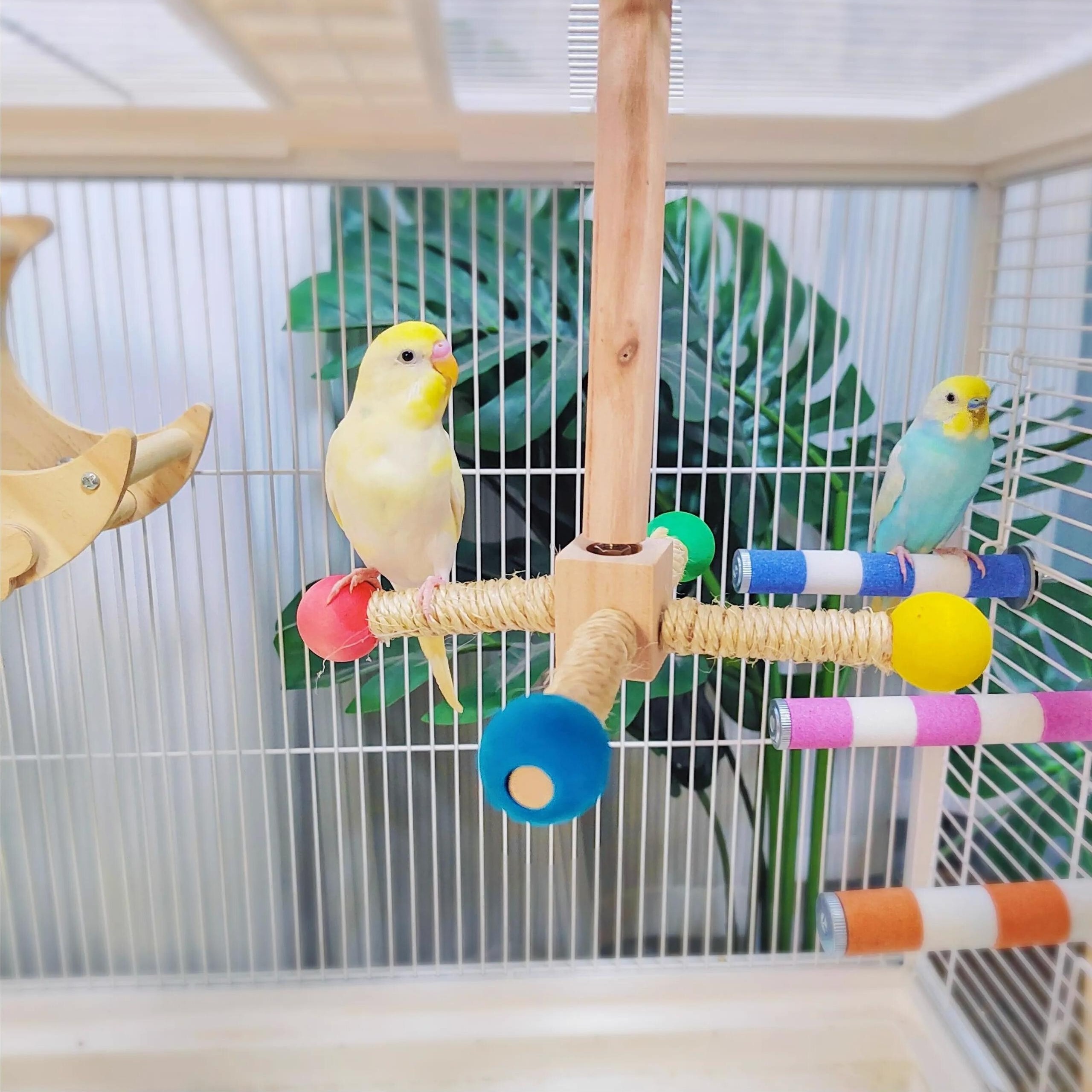 

Interactive Parrot Windmill Toy - Wooden Chew & Perch Stand For Cockatiels, Phoenixes, And