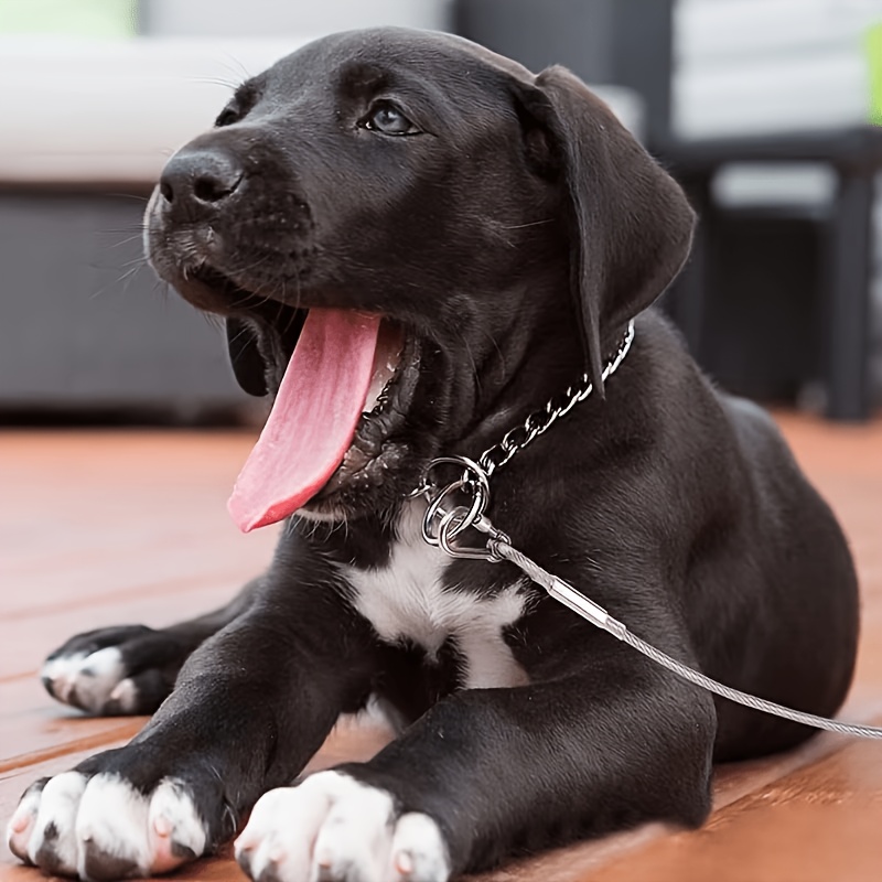 5pcs Set Stainless Steel Dog Leash with Reflective and Rust-Proof Features