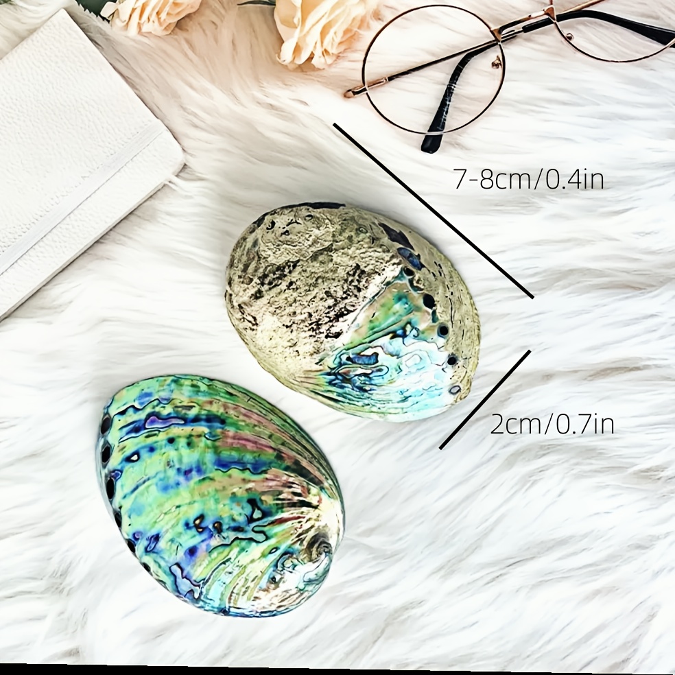 Natural Iridescent Abalone Shell for DIY Jewelry Making and Crafts