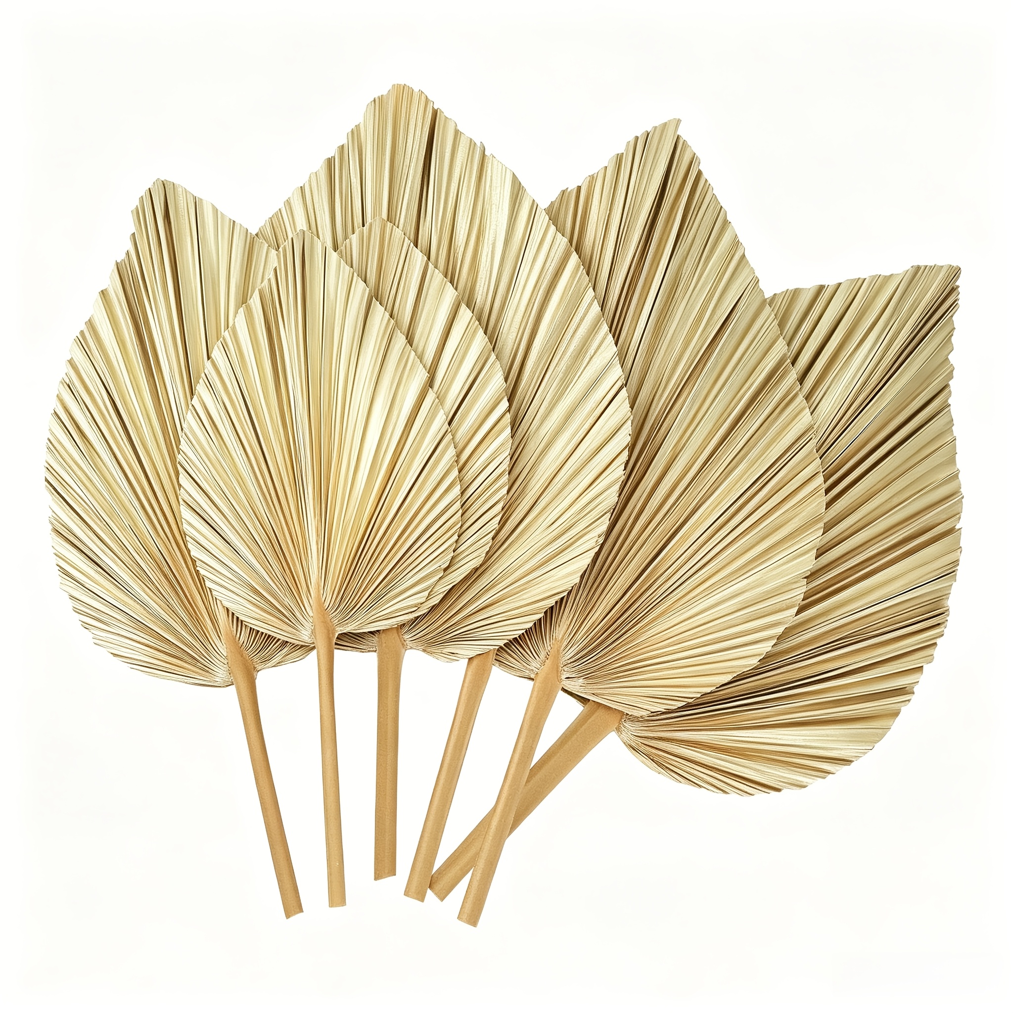 Image of 6pcs Large Bulk Boho Dried Palm Leaves Fans With Stem Natural Flowers Boho Wedding Home Party Kitchen Vase Farmhouse Table Arrangements