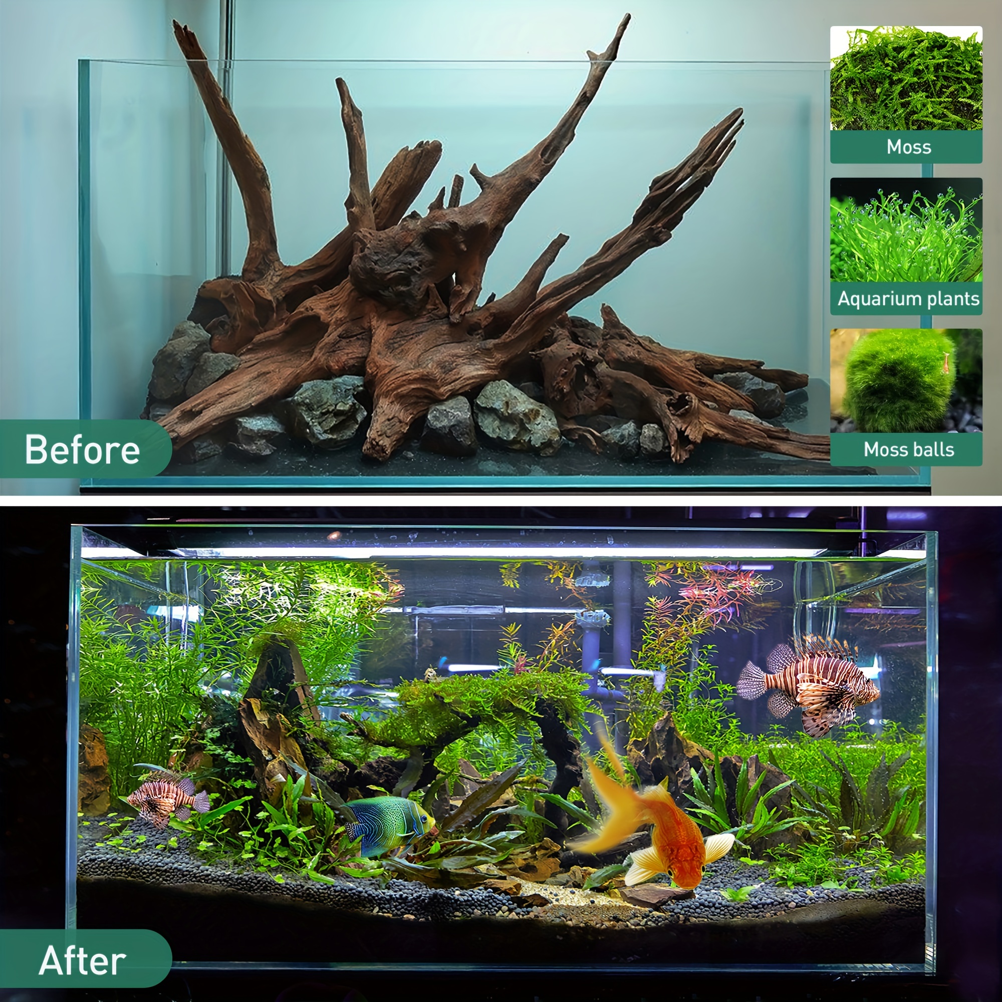 Natural looking aquarium decorations best sale