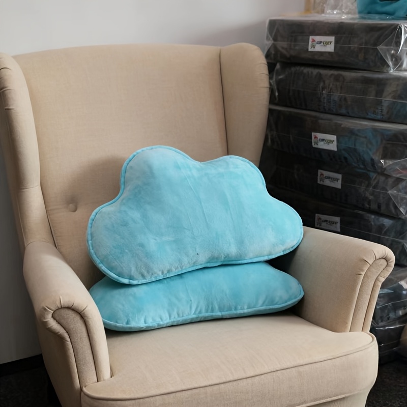 TEMU Coussin , Oreiller , Coussin Décoratif pour Lit, Coussin , Coussin de Soutien