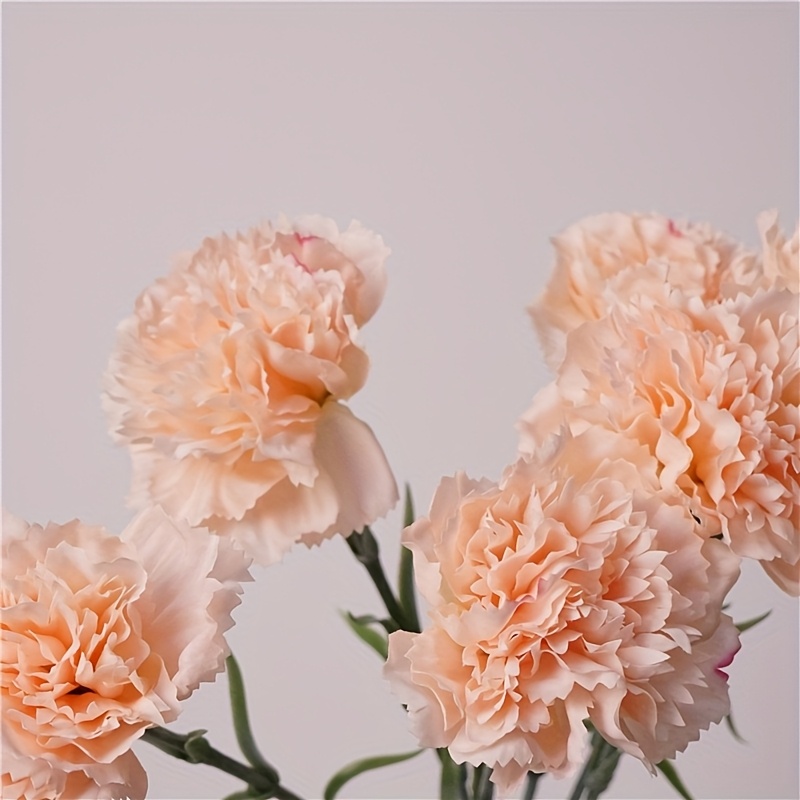 10pcs Set Of Simulated Pink And Tender Carnations, Artificial Flowers With Moisturizing Touch, A Atmosphere, Suitable For Mother's Day Gift To Mothers, Decorating Houses To Create Atmosphere