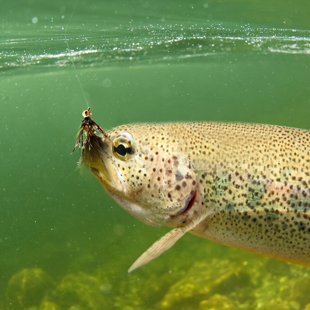 bead head black/olive brown tassel fly fishing Temu Kuwait