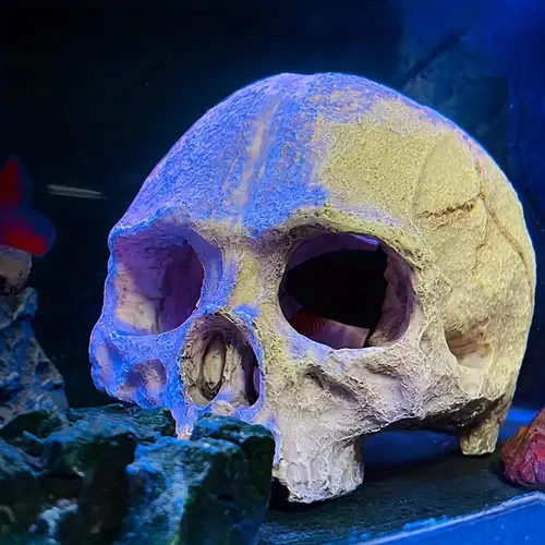 fish tank accessories skull AQUA KT Aquarium Landscape Head Skeleton Rock Hiding Place Cichlid Cave for Gold Betta Fish Decoration Freshwater or Marine Aquariums : Pet Supplies Make your aquatic decor come alive with this Top Fin Skull/Cave Aquarium Ornament Top Fin Skull/Cave Aquarium Ornament