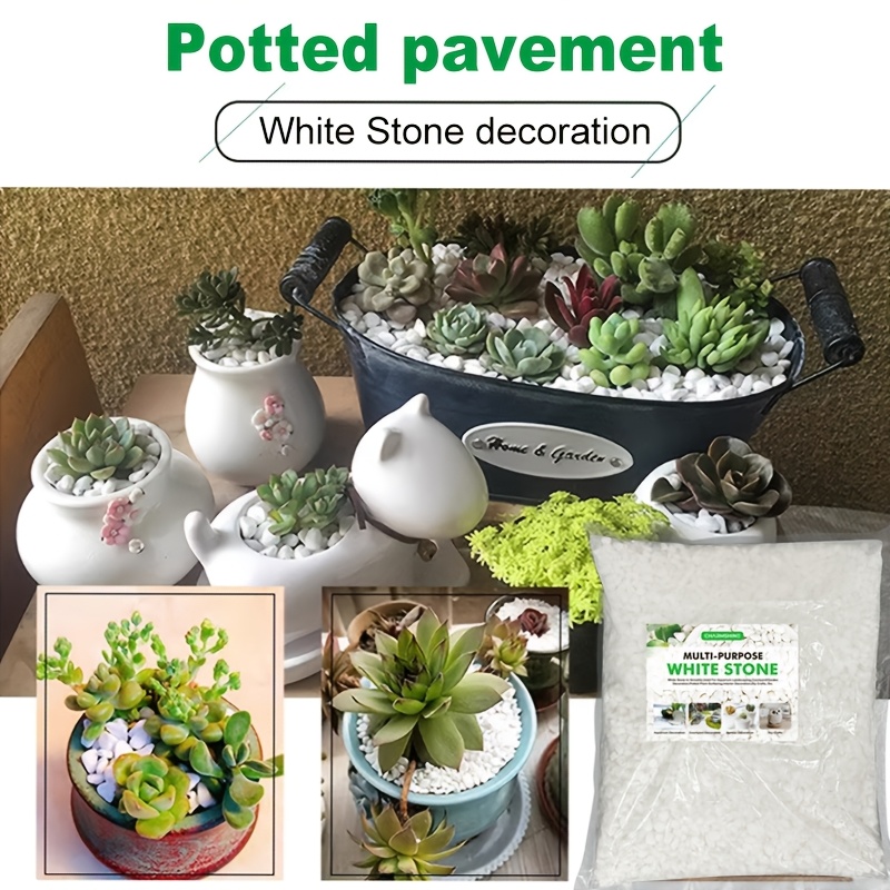 Grava Decorativa Blanca para Acuario, Ideal para Decoración de Plantas y Rellenos de Jarrones, Se Puede Utilizar en Peceras, para Decoración de Plantas Suculentas, Acuarios de Vidrio, Paisajismo, Jardines y Paisajismo Decorativo para Exteriores