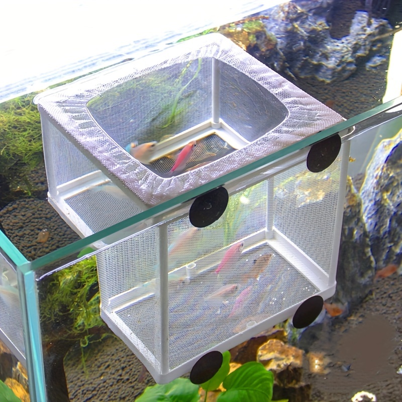Aquarium Incubator Net Fish Shrimp Isolation Box Small Fish - Temu