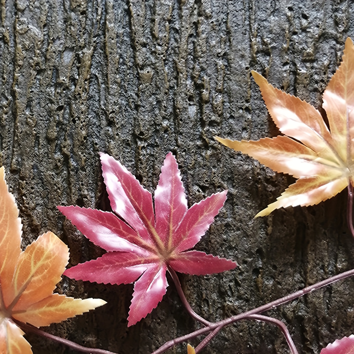 Realistic Bark Background for Animal Habitats