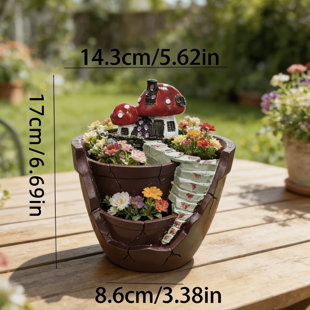 tom thumb succulent Crassula Tom Thumb Succulent For Sale main image 1