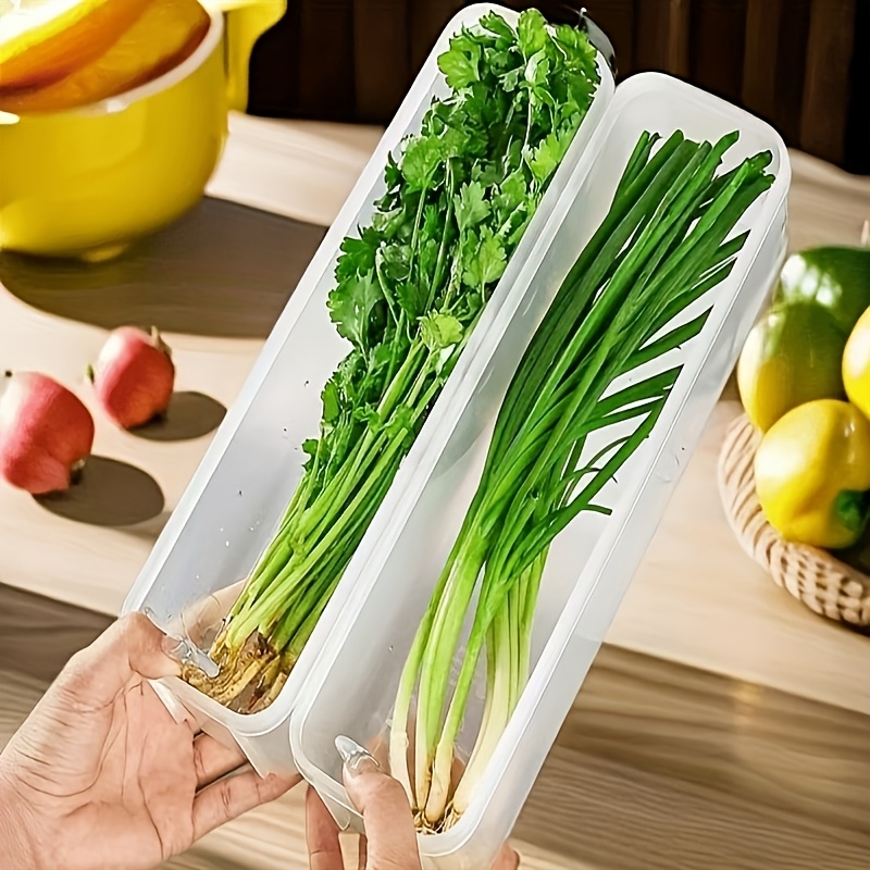2/6pcs Long PP Plastic Vegetable Storage Containers - Durable Airtight Kitchen Organizer for Cilantro, Green Onions, Mint & More - Refrigerator Replacement Bins, Appliance-Friendly Food Savers