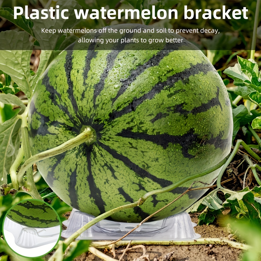 

100 Pack Plastic Watermelon Support Brackets - Transparent Plant Support Structures To Keep Melons Off Ground And Prevent Decay - Durable And Heavy-duty For Fruits Up To 15lbs