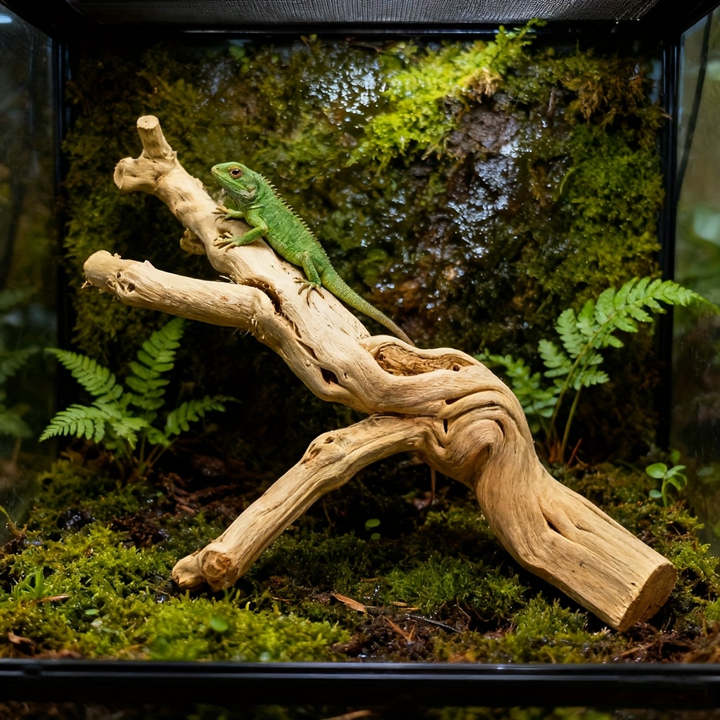 Natural Wood Hideout for Gecko & Bearded Dragon
