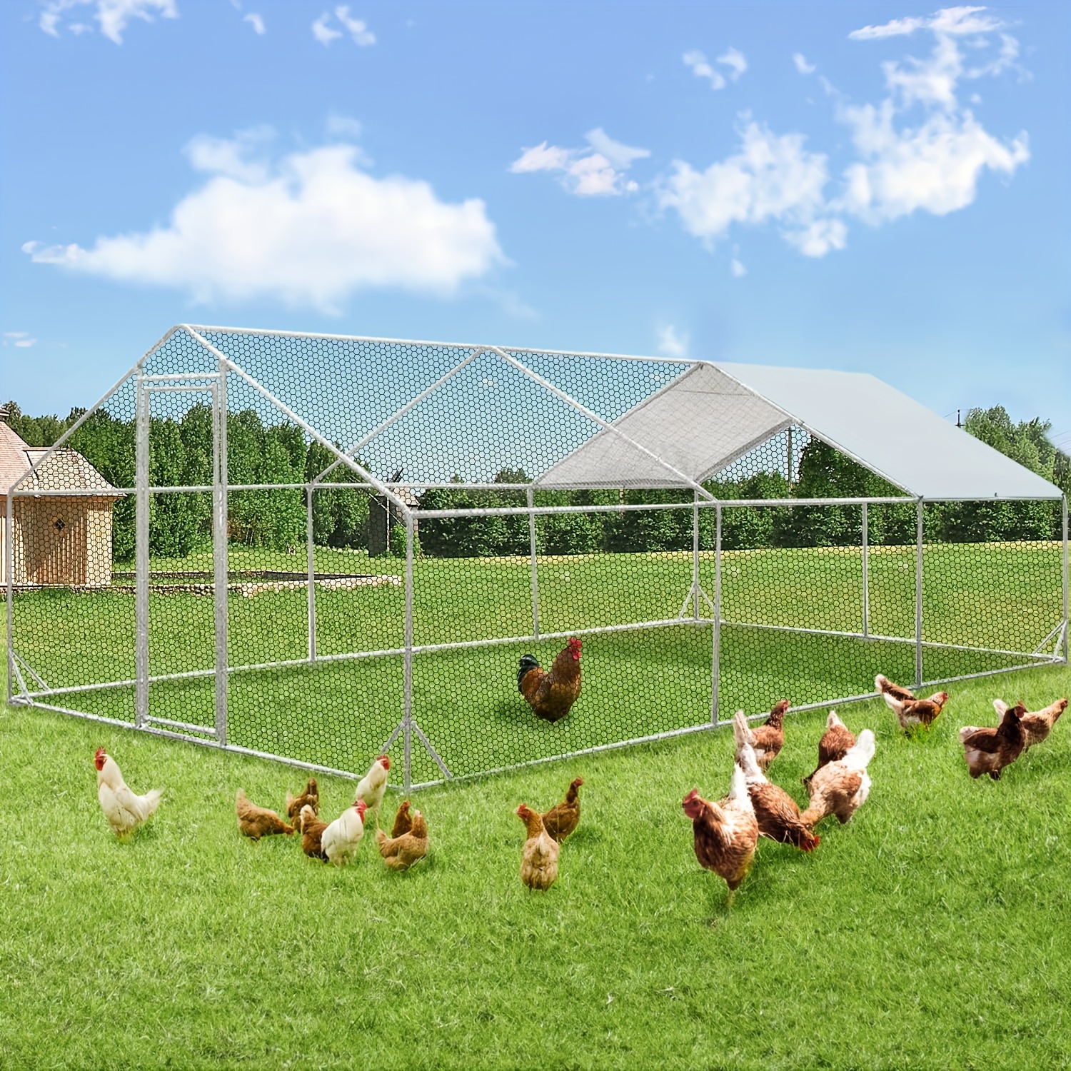 

Yodolla Run, Effectively Prevents , 200 Metal , Suitable For 10 Chickens And Poultry Ducks, ,