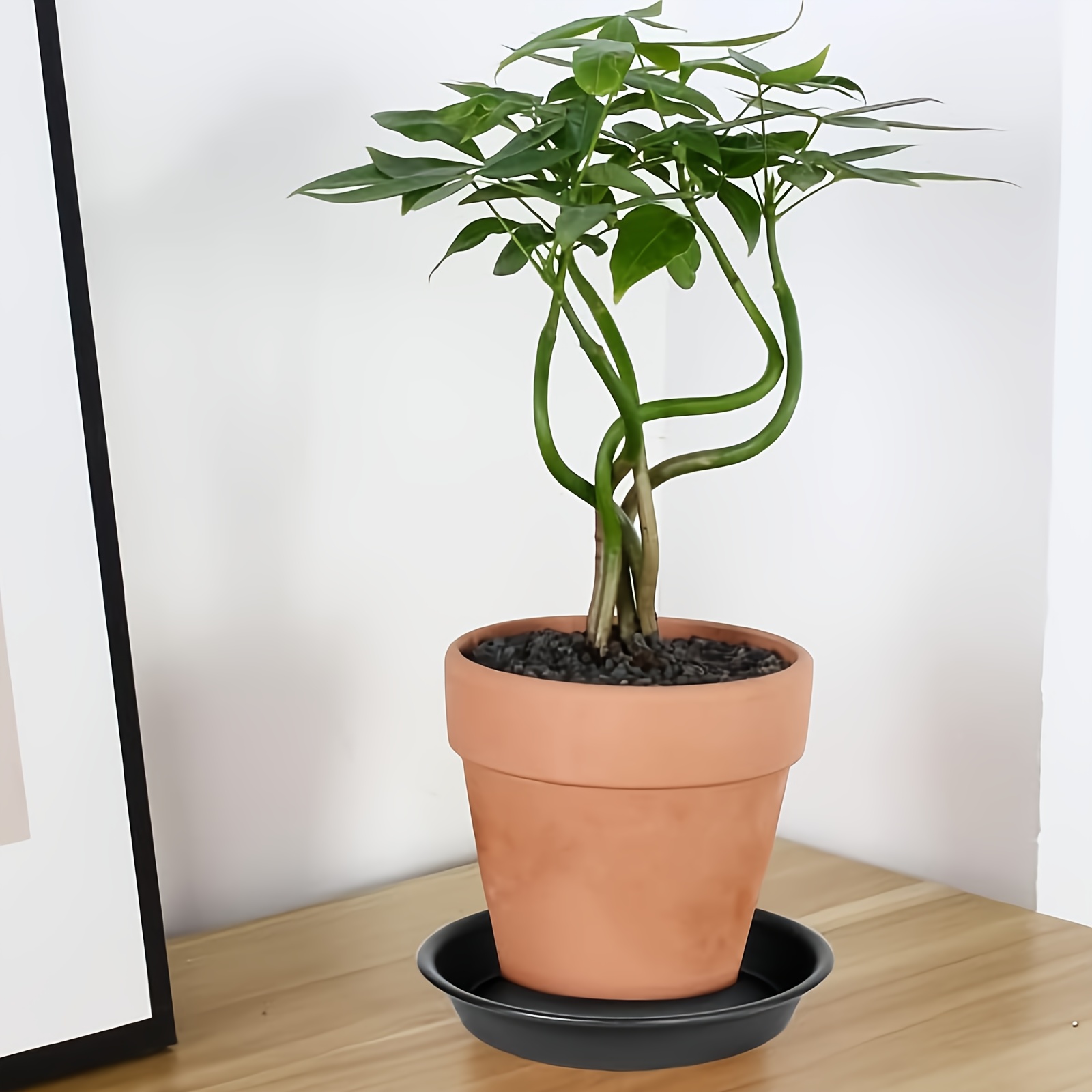 TEMU 8pcs Set Of 10 Inch Plant Trays, Heavy-duty Plastic Plant Drip Tray 10 Inch Round, Flowerpot Plant Tray, Indoor Flowerpot, Plant Flowerpot Dish,