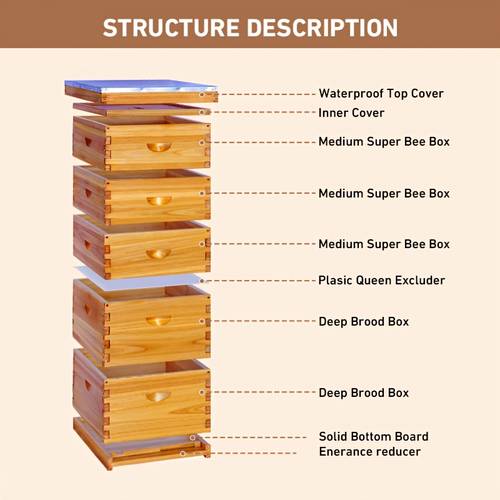 10 frame 5 layer beehive wax coated with 100 beeswax box 3 medium super no frames included