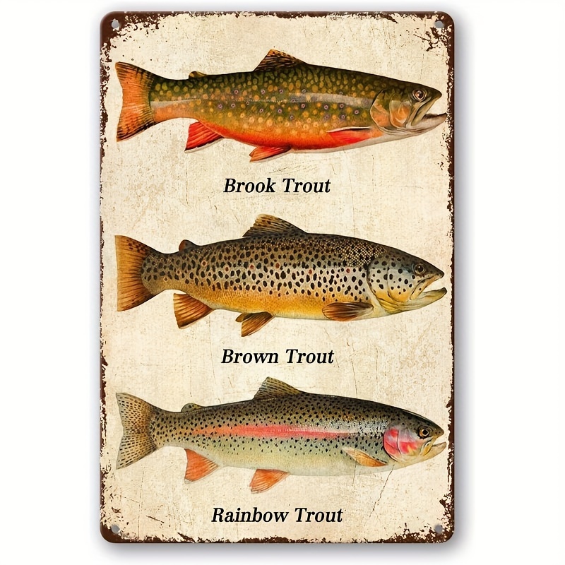 

Vintage Fish Metal Tin Sign - Rainbow Trout, Brook Trout, Brown Trout - Retro Wall Art Decor For Home, Bar, Pub, Cafe - Iron Engraving 8x12 Inch