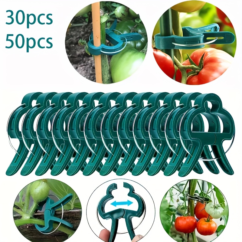 50pcs 30pcs durable plastic garden plant support clips green   ring clips ideal for training stems and br tomato and cucumber vine support plant support structure for outdoor garden and yard plants