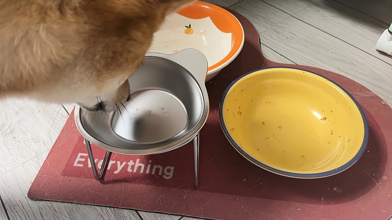 pet stainless steel neck protector slope mouth high platform bowl stainless steel bear shape dog bowl cat bowl details 4