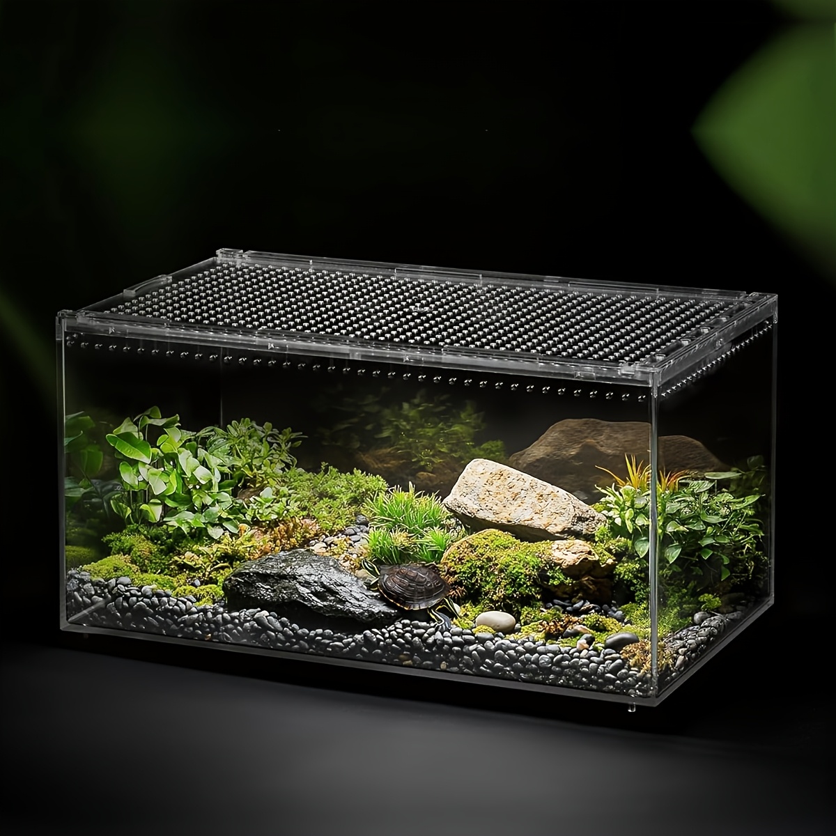   pequeña acrílica para cría de insectos, recinto transparente para   y reptiles con orificios de ventilación mejorados y   magnética extraíble,   transmitancia  ,   que retiene agua,   para arañas,  ,   y   animales