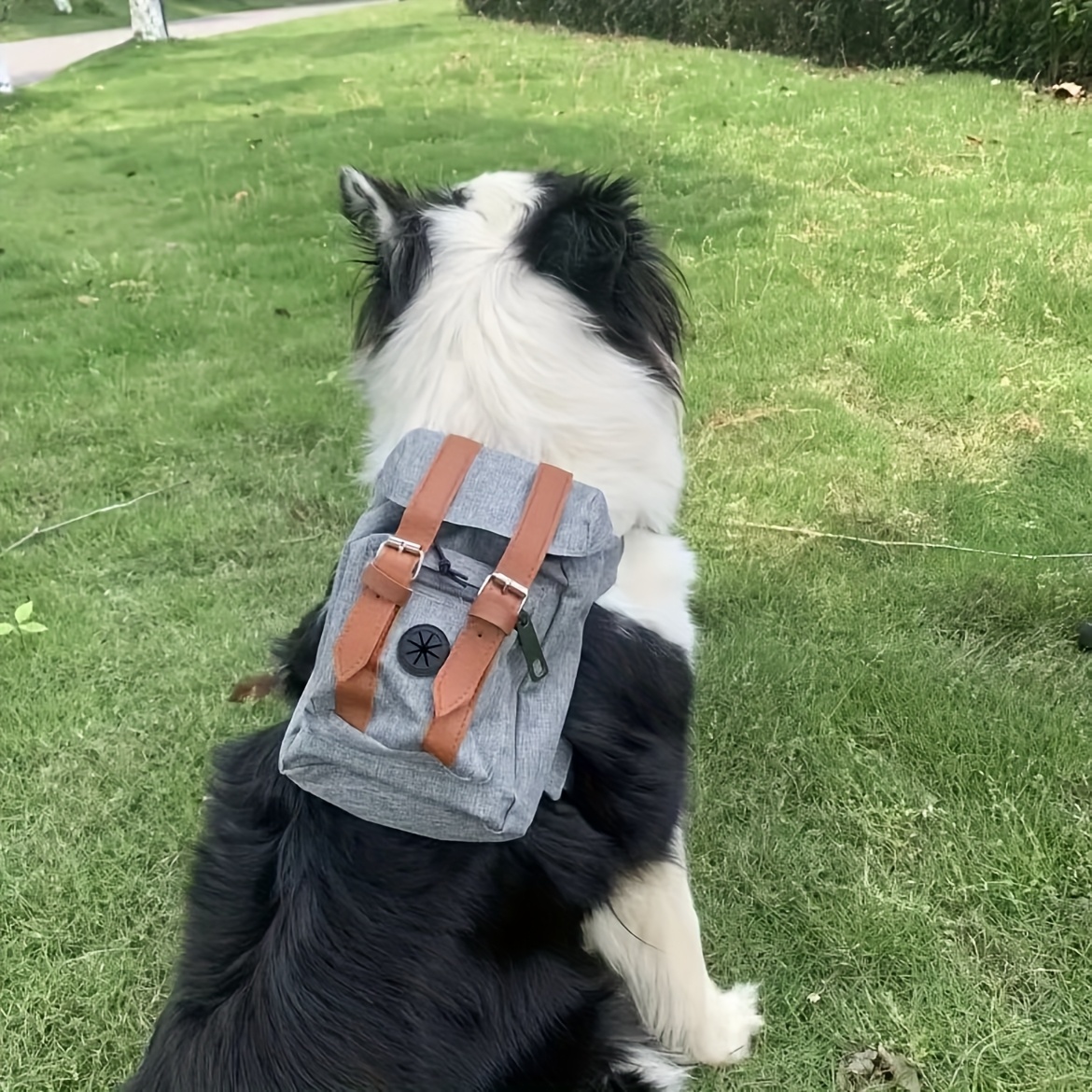 Multifunctional Adjustable Backpack With Safety Harness, Suitable For Small To Medium Dogs (chest 45-65cm), Portable Travel And Daily Bag