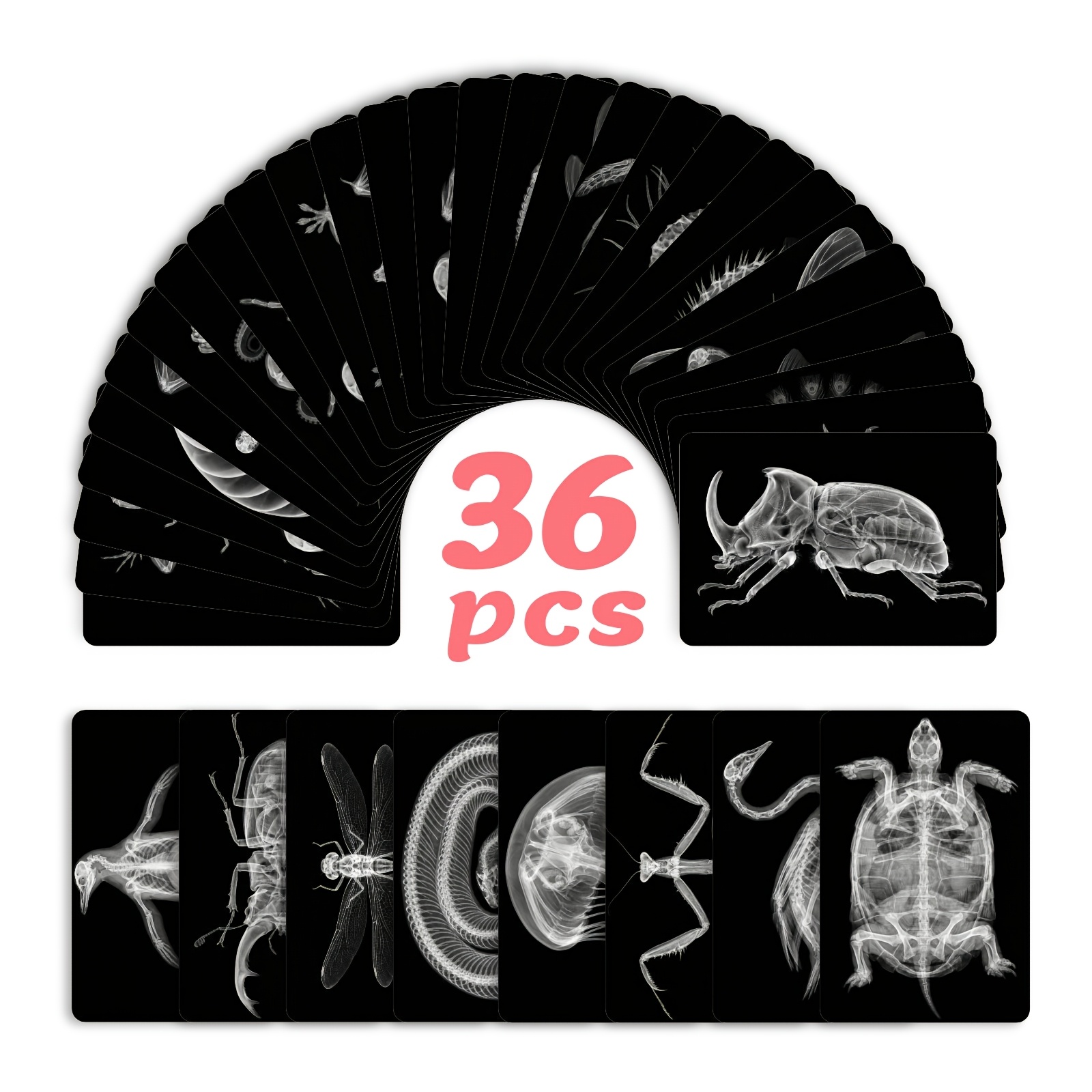 TEMU Lot de 36 cartes postales artistiques d'animaux style X, cartes de jeu amusantes pour fête, cartes postales cadeaux parfaites pour la fête des