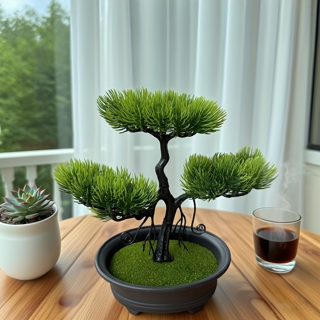 bonsai bume fr drinnen - Temu Deutschland