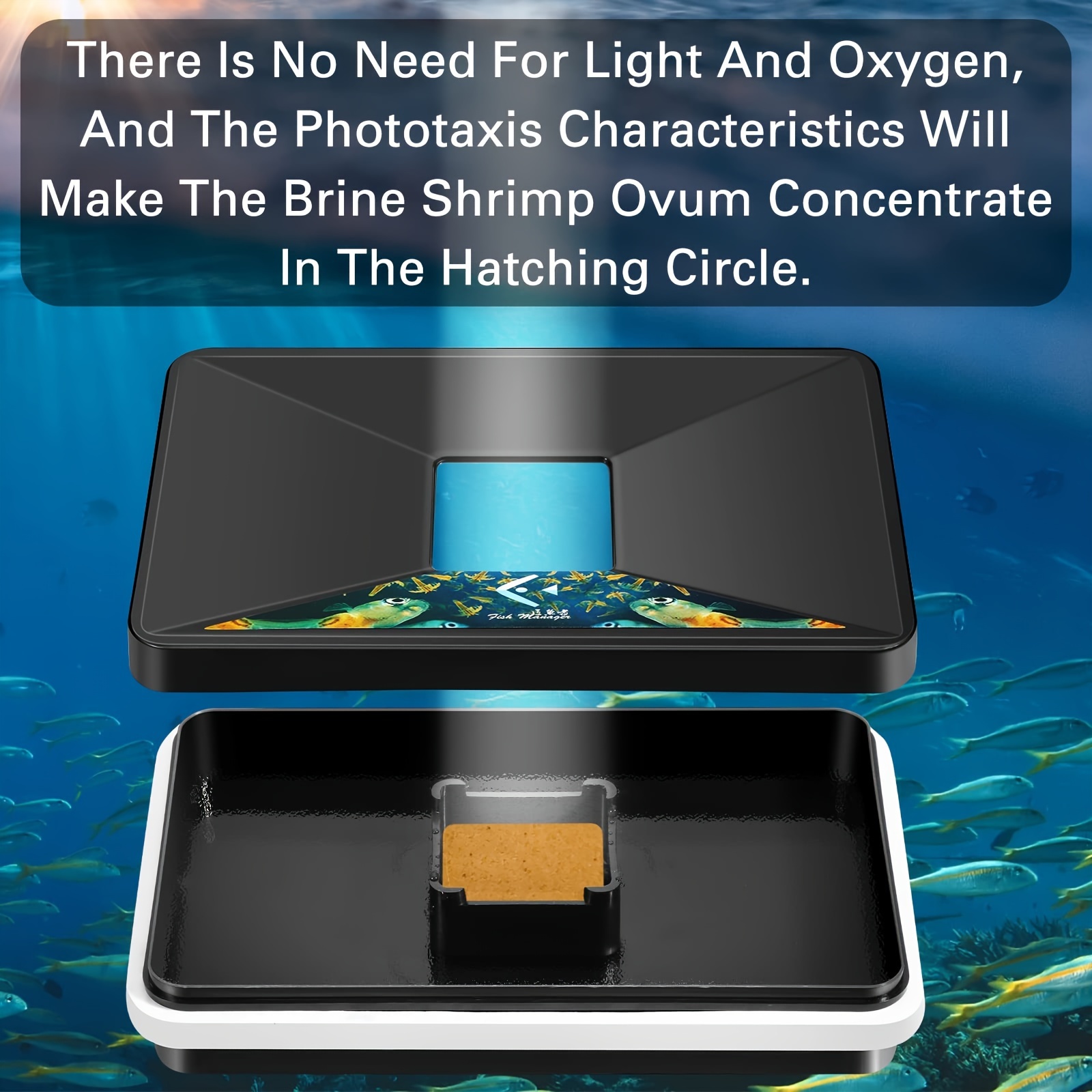 

Square Shrimp Kit With Accessories - High-efficiency, Easy Setup, Incubator, Includes Net, Measuring Cup, Egg Spoon, Pipette, Feeder