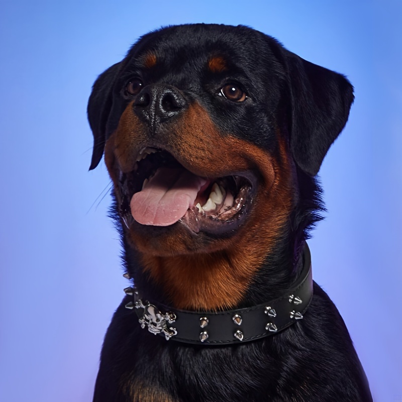 halsband leder nieten stacheln mittelgroe groe hunde - Temu Austria