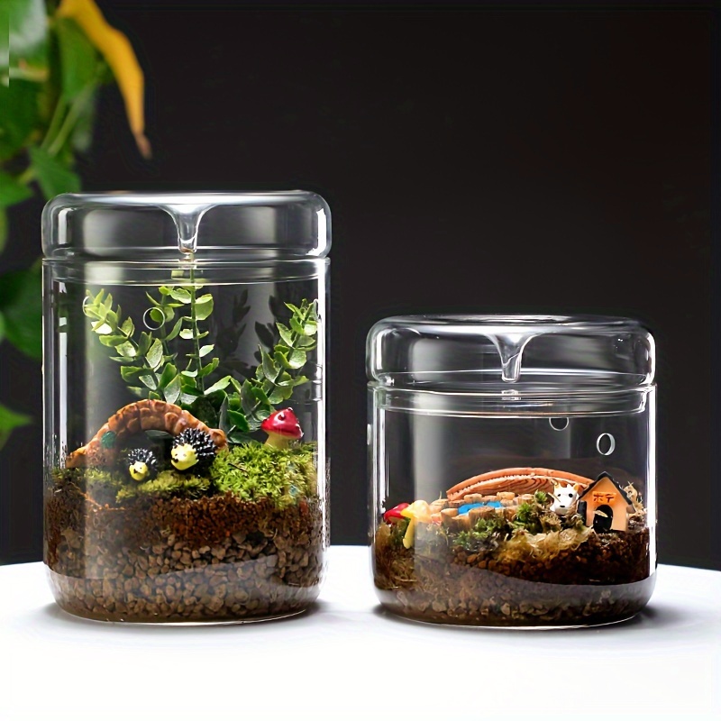 

1pc Mini Glass Vase For Plants & Moss - Versatile Indoor/outdoor Terrarium With Drainage Hole, Perfect For Succulents & Fish Tank