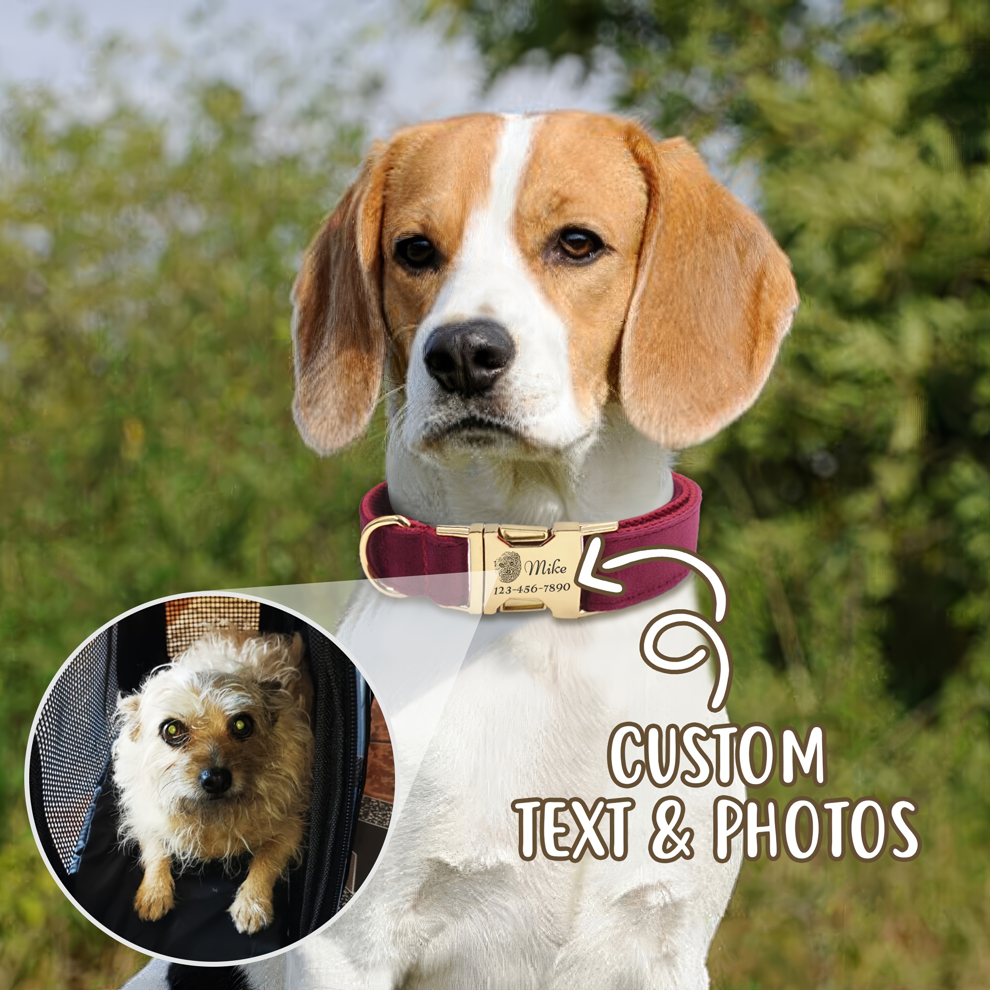 Personalized Velvet Dog Collar with Custom Name & Phone ID Tag