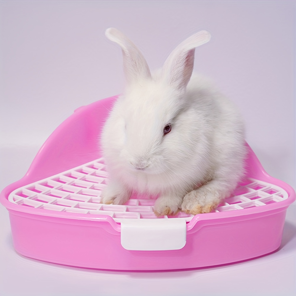 C4705dcc 7289 44cc 9aeb Fa64691b122c