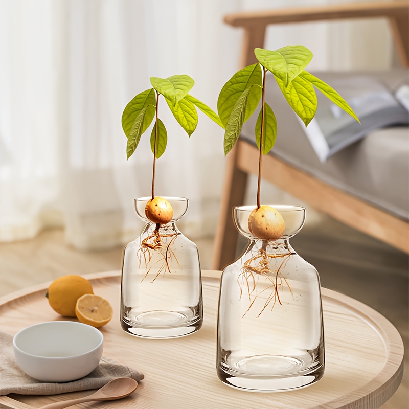 2pcs Avocado Seed Starter Vase - Avocado Tree Unique Glass Planting Planter Gardening Lovers Start Journey Now!