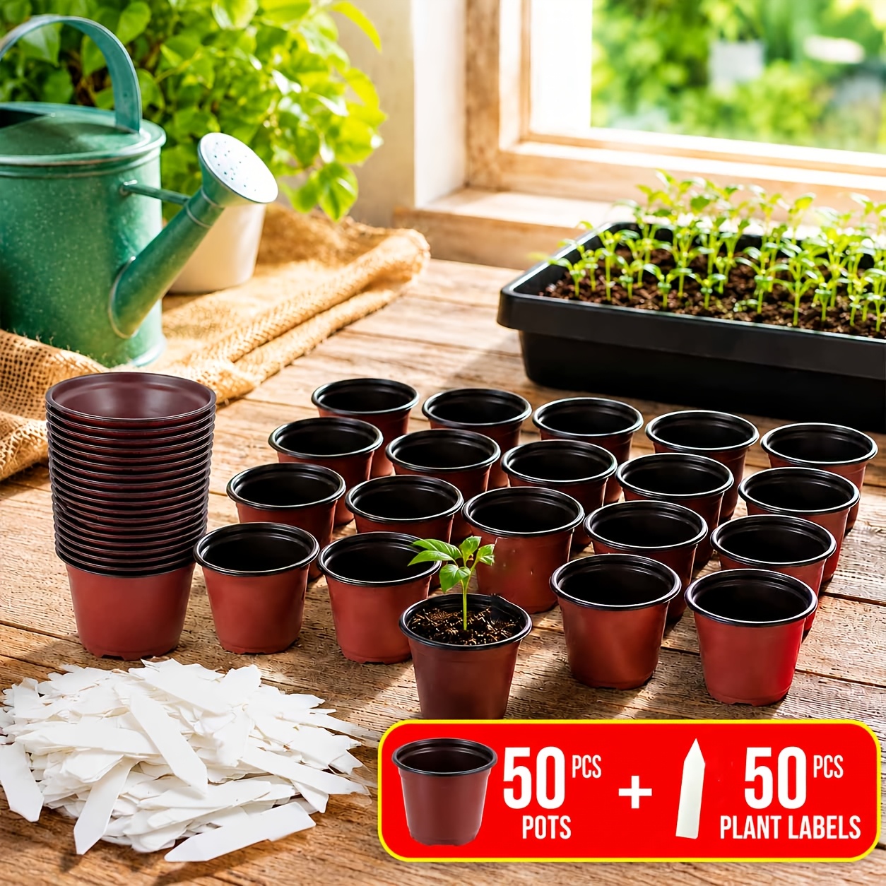 TEMU 50pcs Seed Trays And 50pcs Plant Labels With Drainage Holes, Seedling Pots Set Suitable For Succulents, Flowers, And Vegetables, Durable Plastic