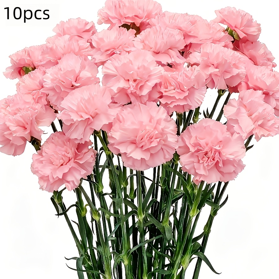 TEMU Ramo de 10 de claveles rosas artificiales | Flores elegantes de , adecuadas para decoración del hogar y , ideales para diversas ocasiones,