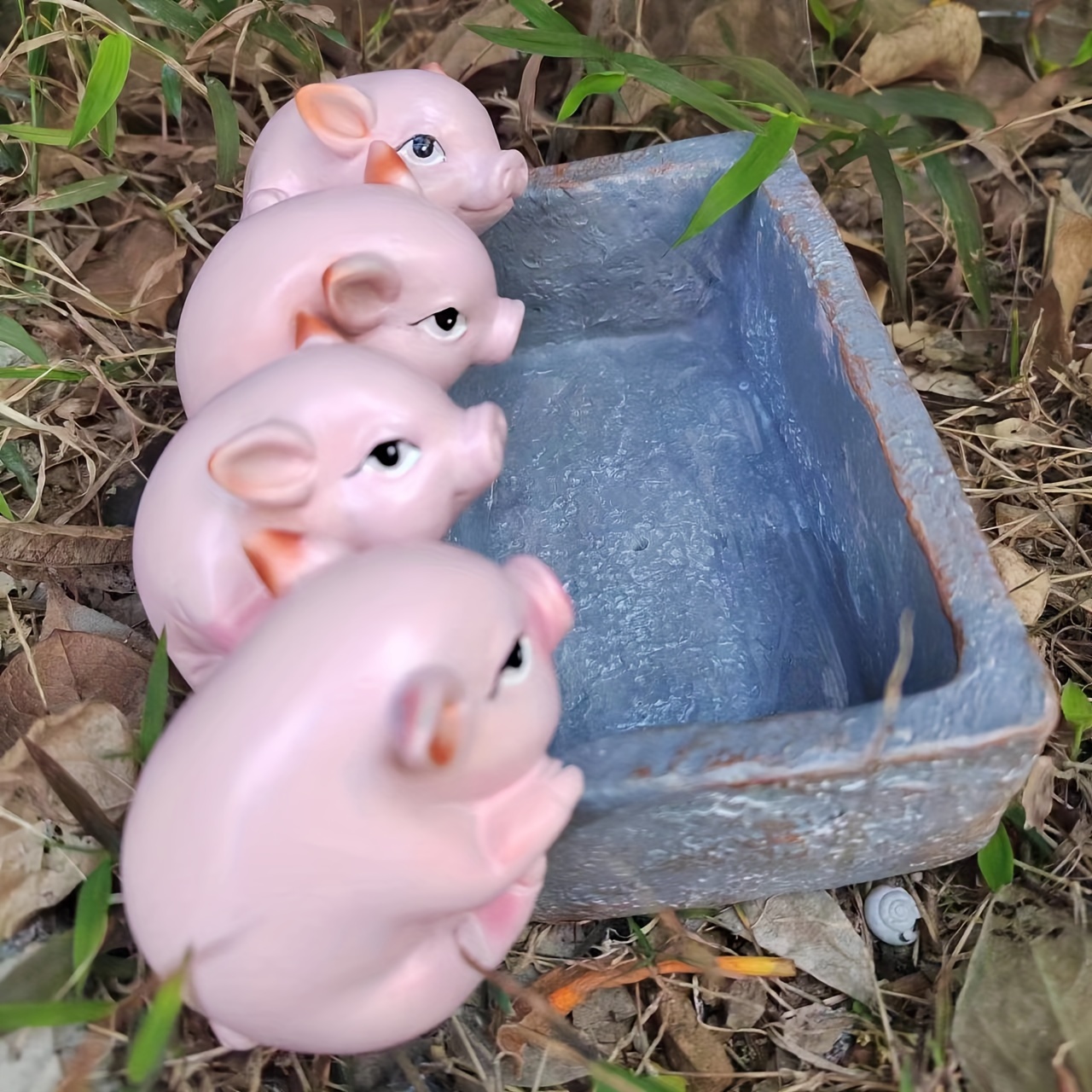 Pigs - Temu Malaysia