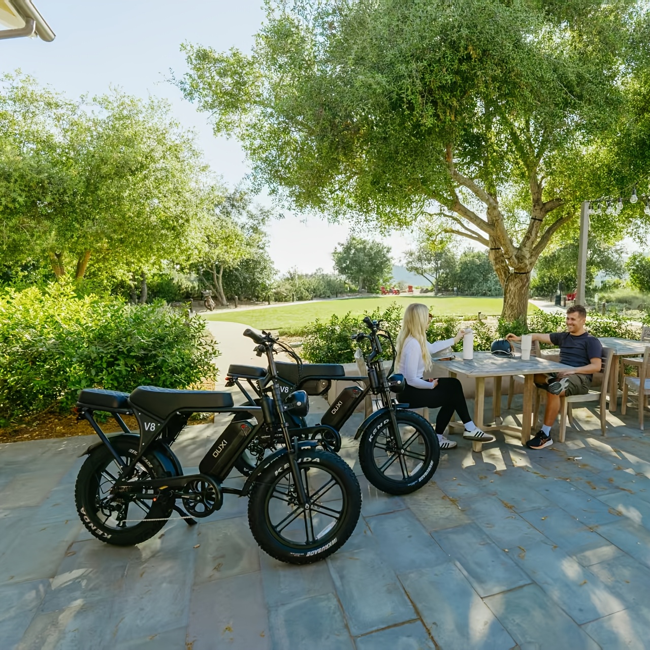 electric bike v8 electric mountain bike with 500w motor 48v 15ah 30ah removable larger battery 19mph h 20 tire e bike adult electric bicycles electric dirt bike electric mountain bike electric bicycle for adults e bike Product details 5