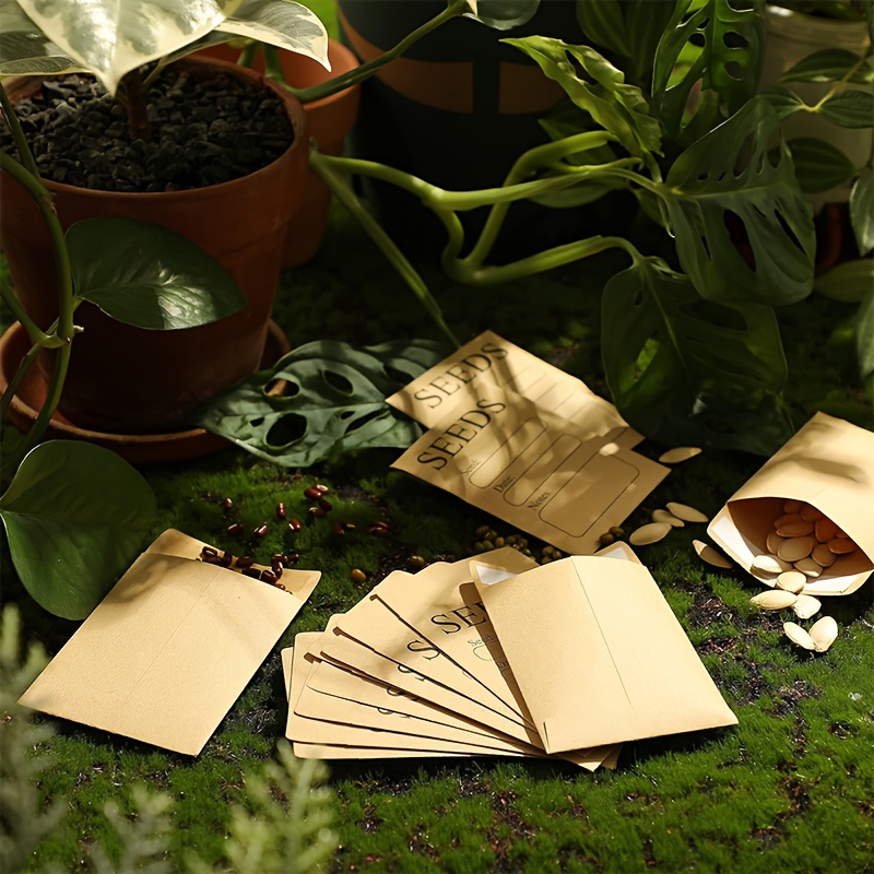 Seed Storage Organizer Box - 6 Compartment Fabric Container With Lid, Plant Labels, Envelopes, Gardening Gift